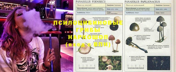 гашик Кукмор