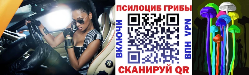 Псилоцибиновые грибы MAGIC MUSHROOMS  Купить где  Ржев 