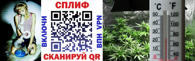 МАРИХУАНА THC 21%  Купить закладки  Ржев 